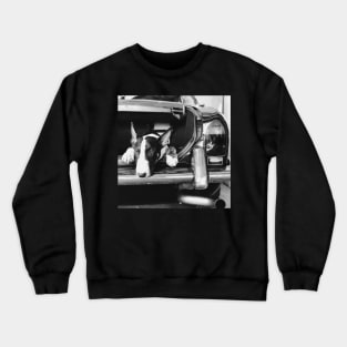 Frank Crewneck Sweatshirt